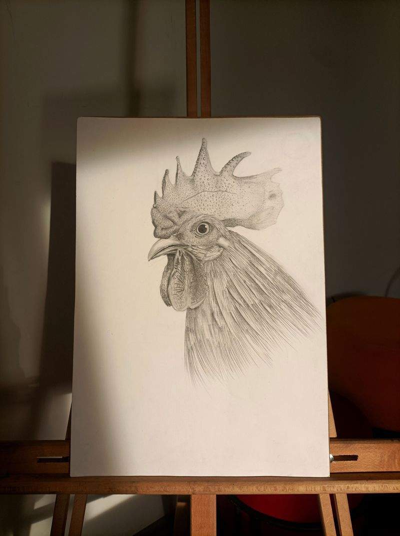 Initiation au croquis d’observation